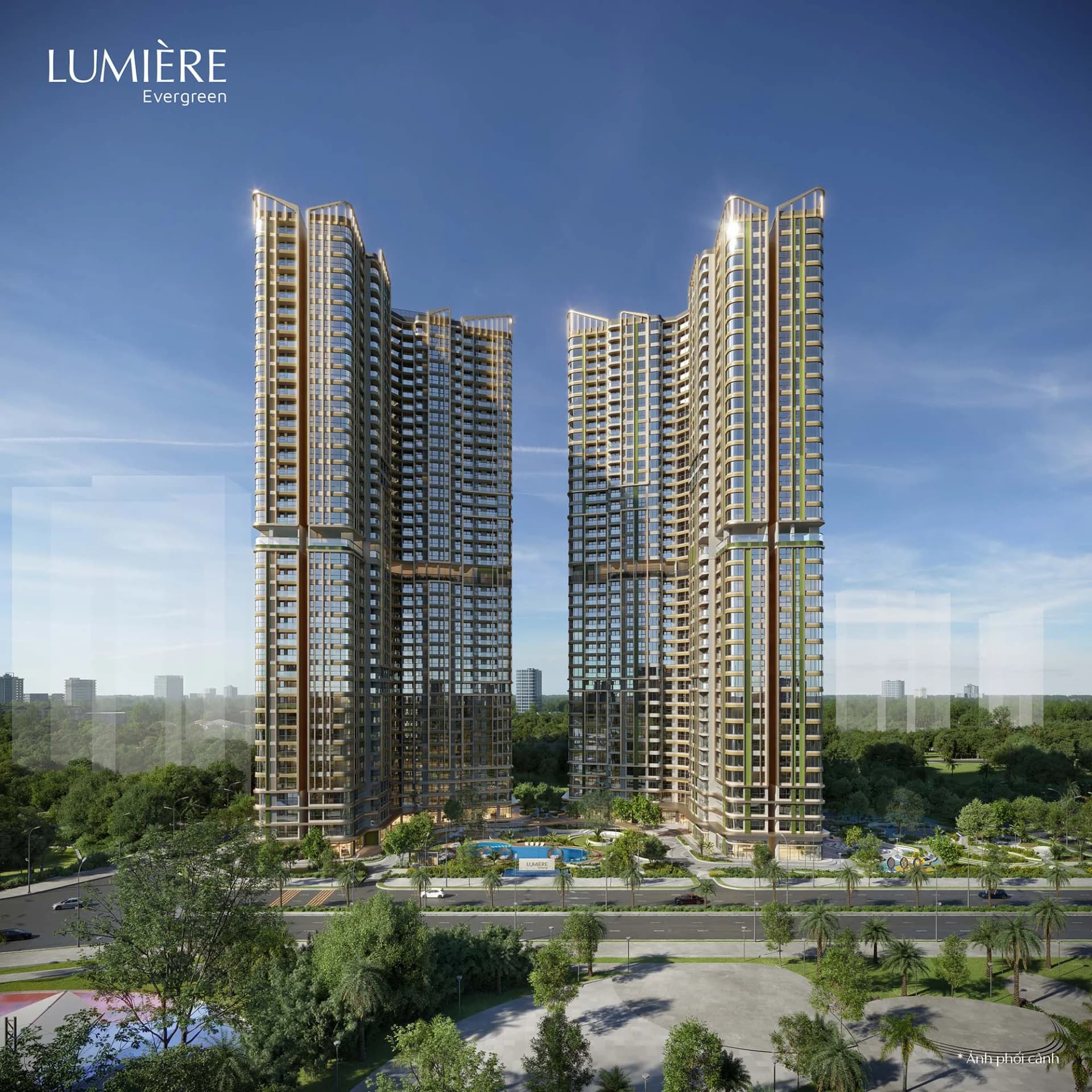 LUMIÈRE Evergreen